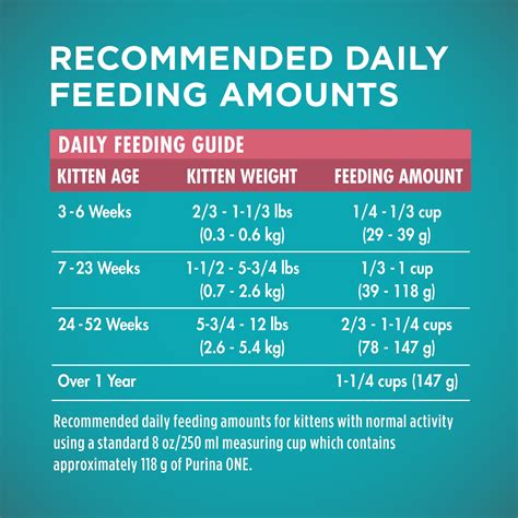 Kitten Cat Weight Chart Kg