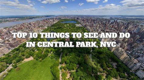 Tulips blooming in central park! Top 10 Things to See and Do in Central Park, NYC | Places ...