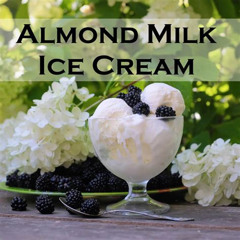 Almond Milk Ice Cream Recipe Serving Ice Cream