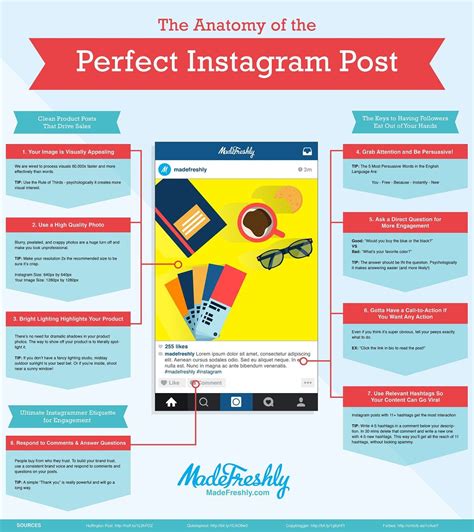 The Anatomy Of The Perfect Instagram Post Infographic Visualistan