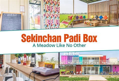 Jo flere netter du blir. Sekinchan Padi Box: A Meadow Like No Other - JOHOR NOW