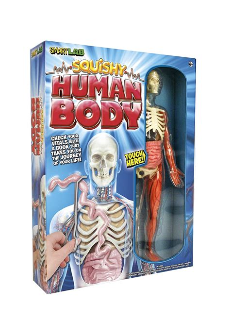 The Human Body Stuff for Kids - In Our Pond