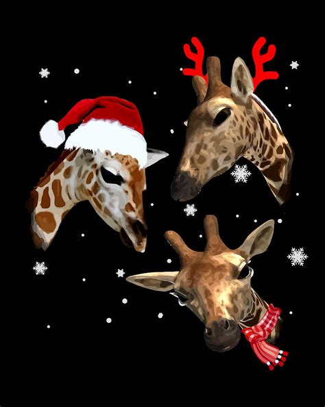 Three Giraffe Christmas With Xmas Lights Santa Hat Digital Art By Xuan