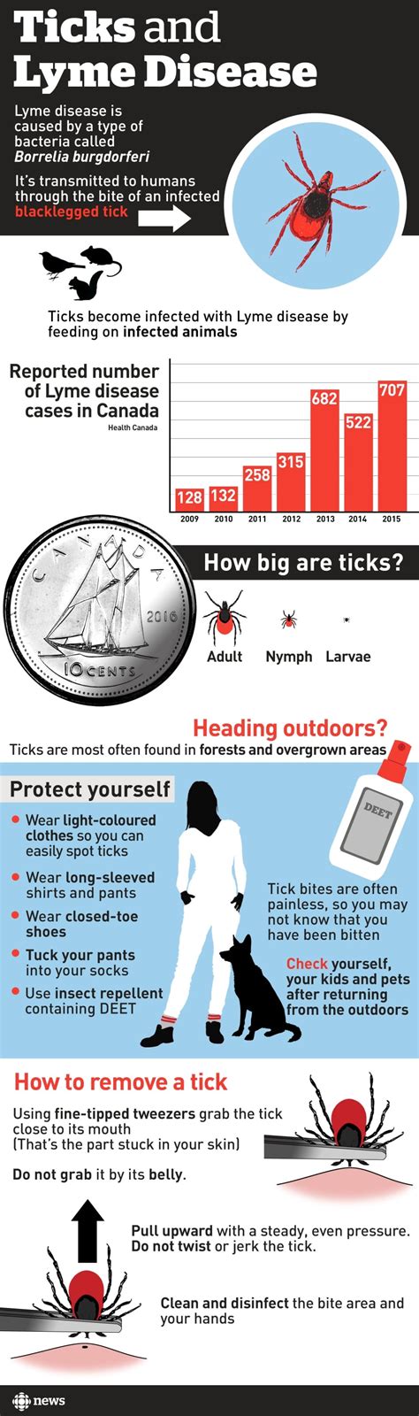 Infographic How To Protect Yourself Against Lyme Disease Health