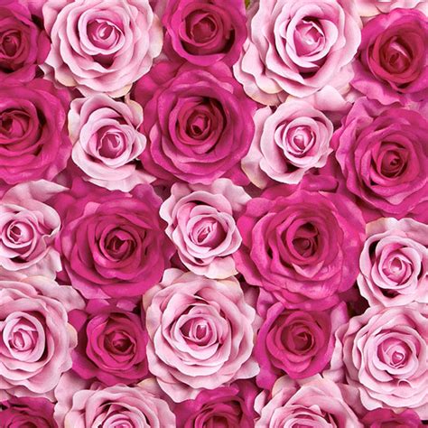 Rose Flower Wall Mixed Pink 50cmx50cm