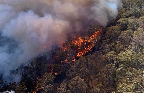 Nsw Bushfires Have Now Destroyed Over 30 Homes The Northern Daily