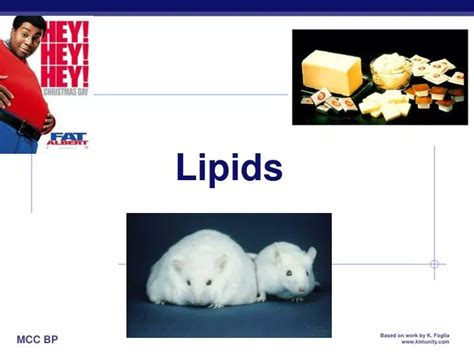 Ppt Lipids Powerpoint Presentation Free Download Id2759748