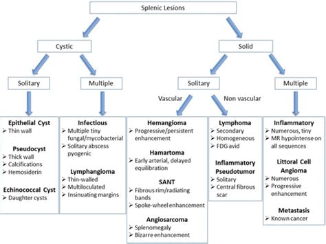 Algorithmic Approach To The Splenic Lesion Based On Radiologic Pathologic Correlation