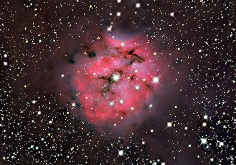 Ic 5146 Cacoon Nebula In Constellation Of Cygnus The Swan Astronomy