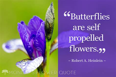 Flower Quote Butterflies Are Self Propelled Flowers
