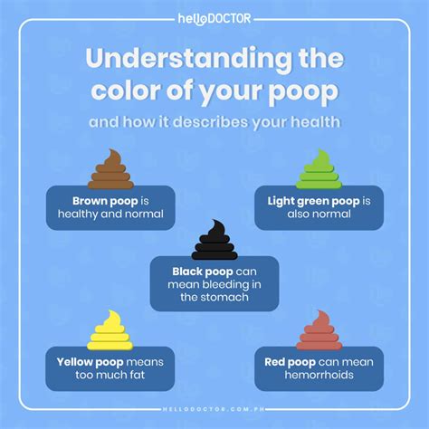 Types Of Poop Health Indications Based On Shape And Color