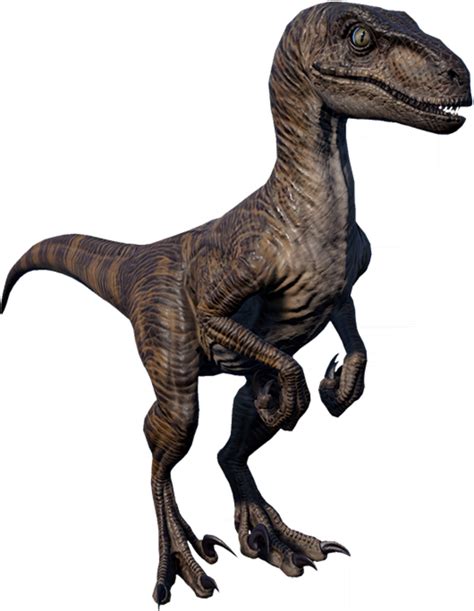 Velociraptor Jurassic World Dinosaurs Dinosaur Pictures Dinosaur Images