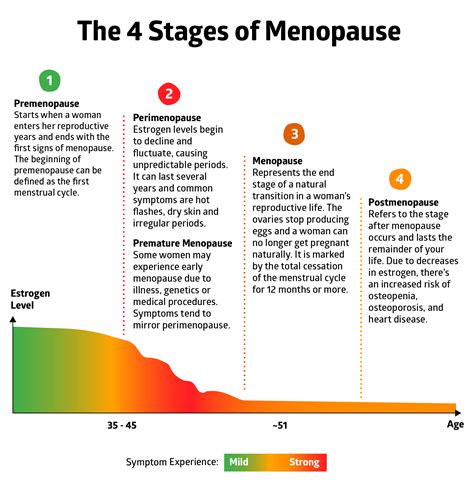 Your Ultimate Guide To Menopause And Your Bones