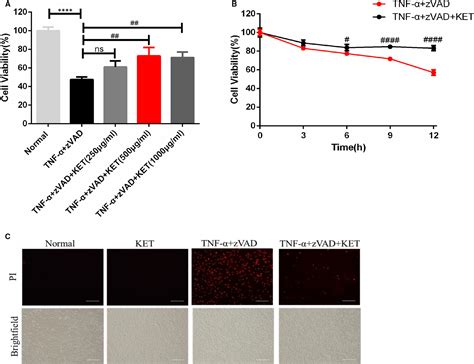 Neuroprotective Effect Of Ketamine Against Tnf‐α‐induced Necroptosis In
