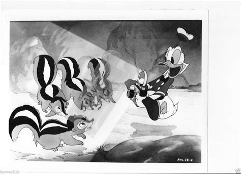 Donald Duck Walt Disney Cartoon Animation Bw Photo Still Vintage Camera