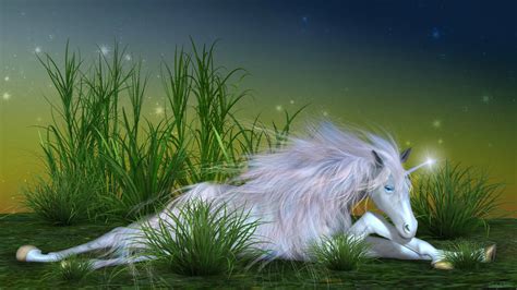 Unicorn in the forest, artistic. Unicorn Backgrounds For Desktop - Wallpaper Cave