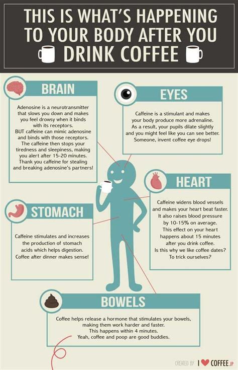 What Coffee Does To Your Body Infographic Coffee Drinks Coffee