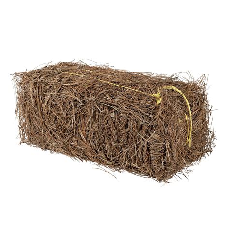 Garden Elements Long Leaf Pine Straw Bale For Mulch Soil Amendment 12