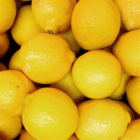 Real Food Encyclopedia Lemons Foodprint