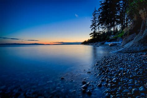 1536x864 Resolution Landscape Photography Of Tree Near Body Of Water