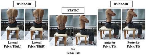 Static And Dynamic Sitting Condition Download Scientific Diagram