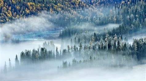 Landscape Nature Mist River Forest Fall Morning Trees Sunlight