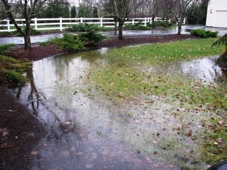 Some sloping areas may require use of a specialized sprinkler, drip irrigation or a soaker hose. Wet Yard - Solving Drainage Problems | Northern Virginia Soil and Water Conservation District