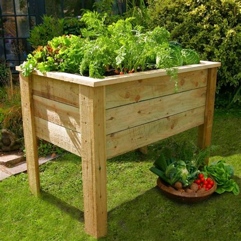 How High To Build Raised Garden Beds