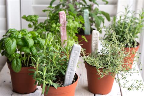 Plant Labels Diy Stamped Clay Herb Garden Markers Resin Crafts Blog