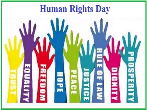 Human Rights Day Know About Theme History Significance And Key