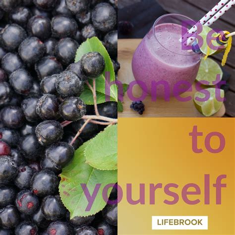 Aronia berries are the superfruit of the world | Aronia berries, Superfruit, Berries