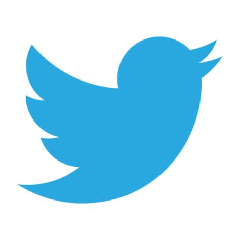 Twitter Bird Logo Png