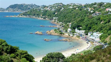 The Best Beaches To Visit Near Wellington