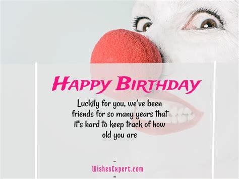 Funny Images For Happy Birthday Best Friend Gray Seentrusted