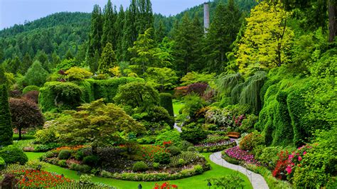 25 Victoria Garden Paysage