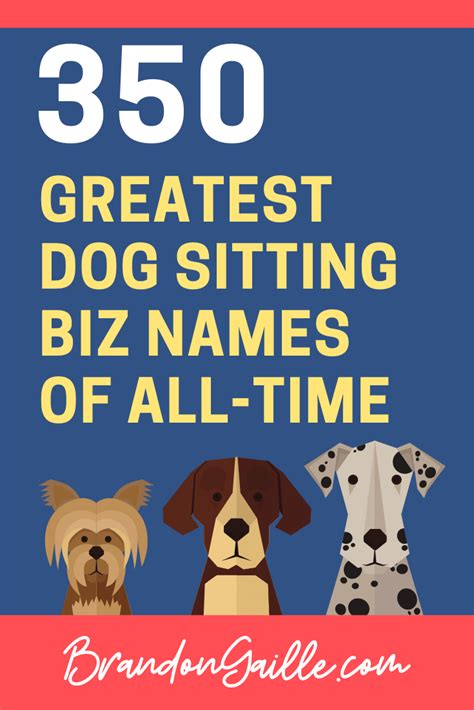 250 Catchy Dog Walking Business Names Artofit
