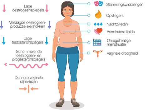 In De Overgang Wat Nu Newdiet Care