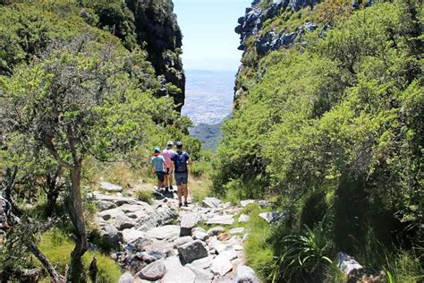 Table Mountain Hiking Trails 6 Amazing Routes Stingy Nomads