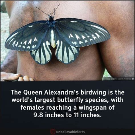 Unbelievable Facts Blog Share Most Amazing Strange Weird And Bizarre
