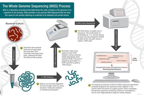 Whole Genome Sequencing Wgs As A Tool For Hospital Surveillance