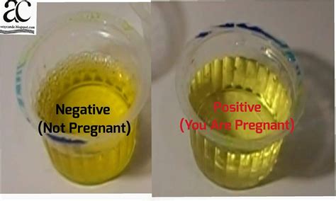 Home Pregnancy Test With Vinegar