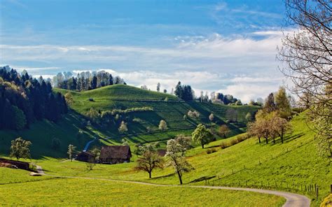 Hills Landscape Trees Wallpaper Hd Nature 4k Wallpapers Images