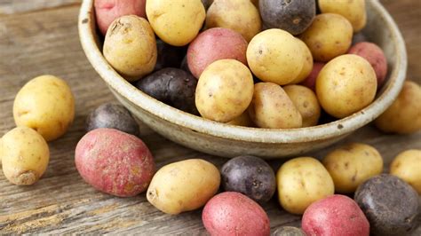 Bowl Filled With Yellow Red And Purple Small Potatoes
