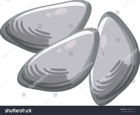 Oysters Clams Cartoon Style On White Stock Vector Royalty Free