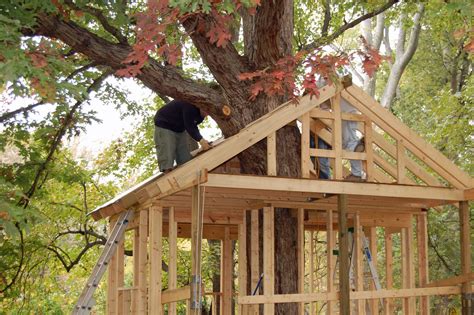 15 Building A Tree House Designs Images Tree Housesimple Plans For