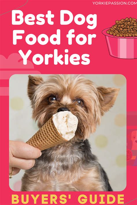 Healthy And Delicious Dog Foods For Your Yorkie