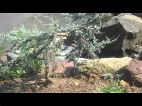 Chris Orser Landscaping Water Scapes And Walkways Youtube