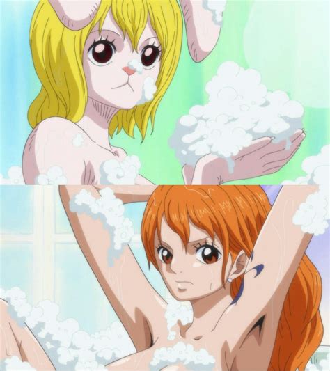 Carrot Nami Personagens De Anime Fantasia Anime Anime