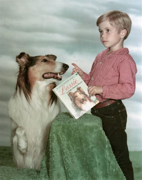 134 Best Timmy And Lassie Images On Pinterest Tv Series Vintage Tv And Rough Collie