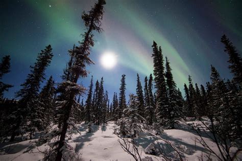 See The Starry Starry Nights Over Denali National Park And Preserve In